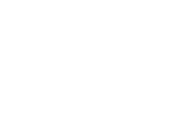 גשרים AI